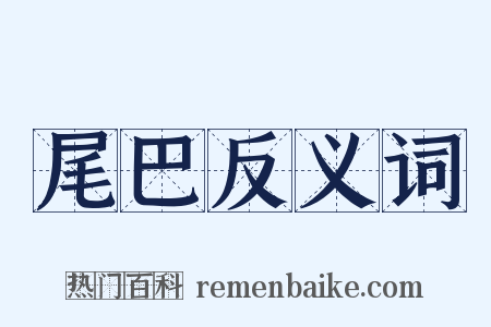 尾巴反义词是什么意思的图片